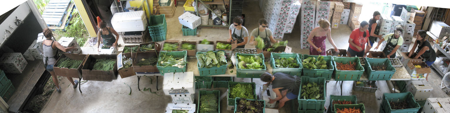 140-packing-shares-pano